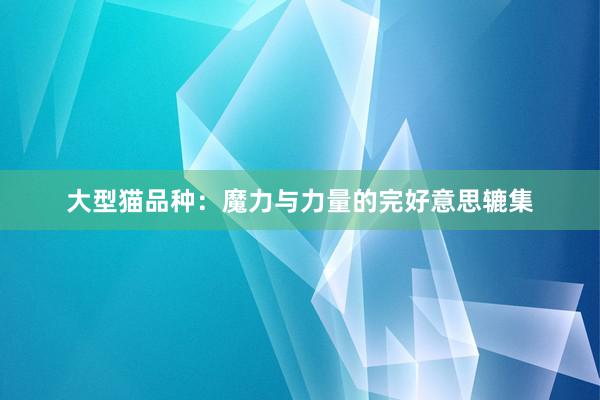 大型猫品种：魔力与力量的完好意思辘集