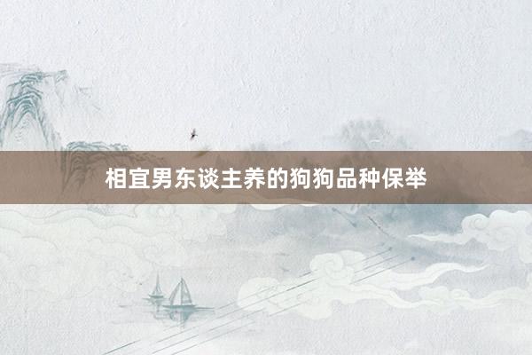 相宜男东谈主养的狗狗品种保举