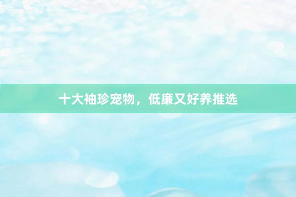 十大袖珍宠物，低廉又好养推选